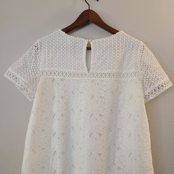 Anthro/HD in Paris Lace & Eyelet Shift Dress - Picture 6 of 7